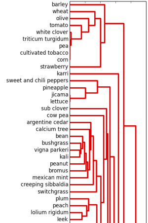 Groups of plant species interacting via a number of mycorrhizal fungi genera